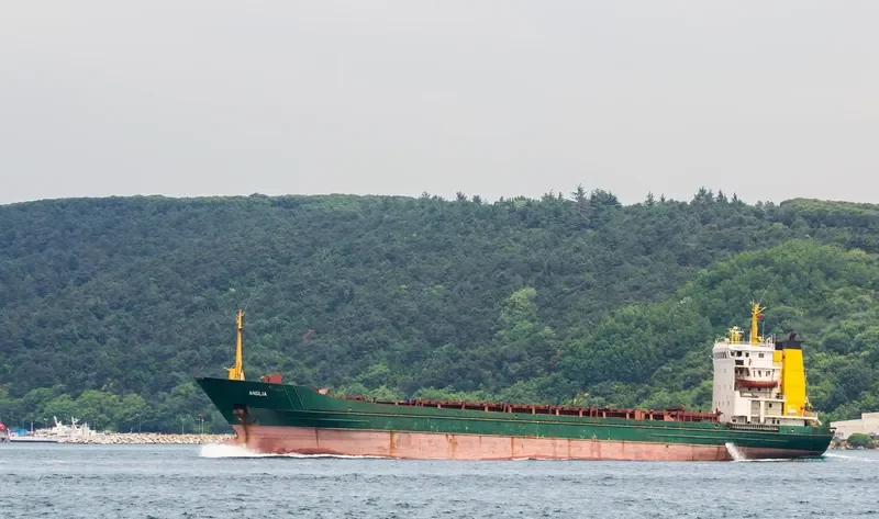 ANGLIA General Cargo IMO 7601724 photo 6