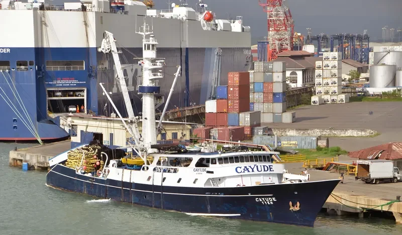 CAYUDE General Cargo IMO 7601736