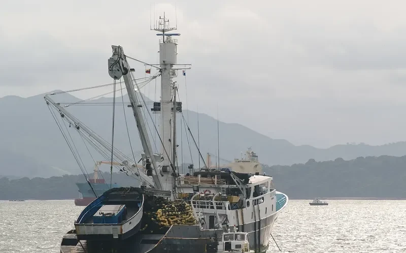 CAYUDE General Cargo IMO 7601736 photo 3