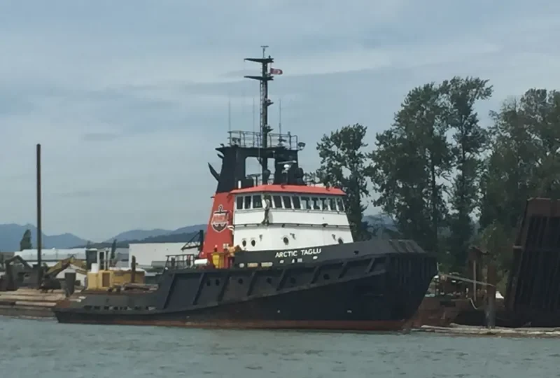 ARCTIC TAGLU General Cargo IMO 7601774 photo 2