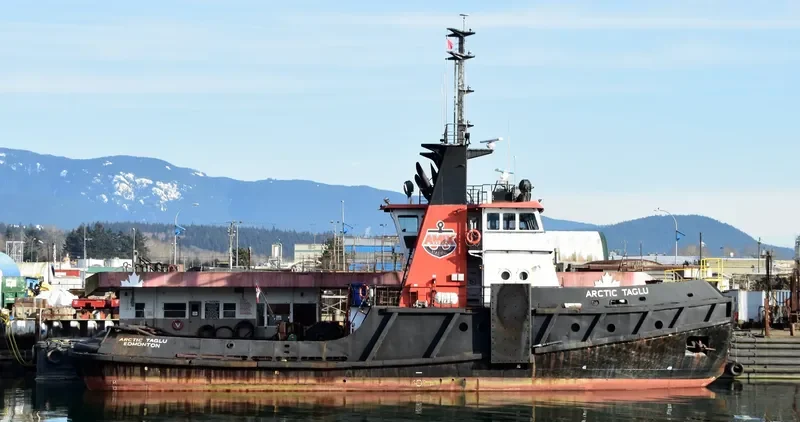 ARCTIC TAGLU General Cargo IMO 7601774 photo 4