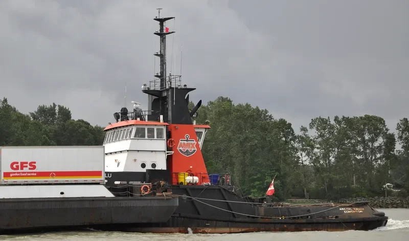 ARCTIC TAGLU General Cargo IMO 7601774 photo 8