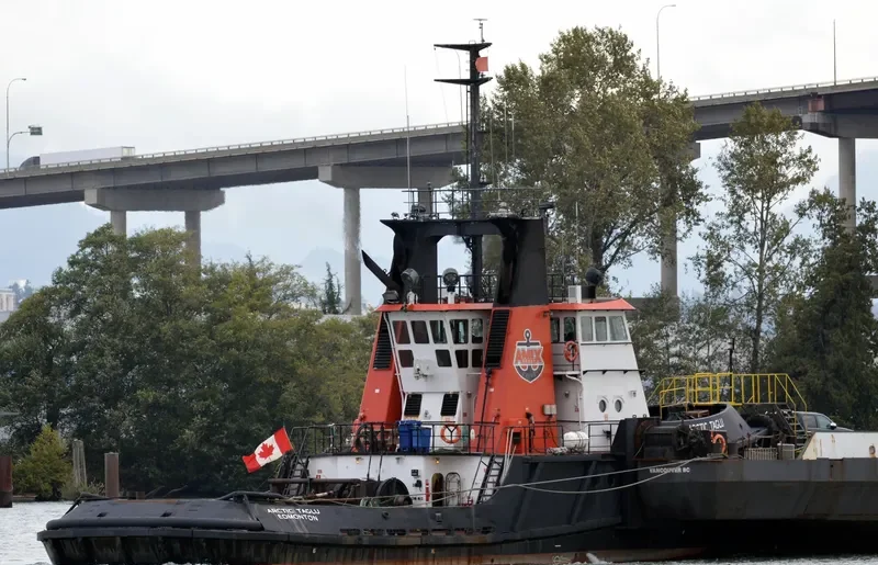 ARCTIC TAGLU General Cargo IMO 7601774 photo 9