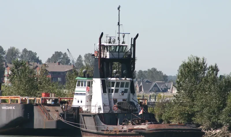 ARCTIC HOOPER General Cargo IMO 7601786 photo 7