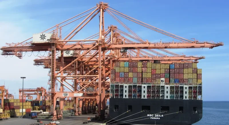 MSC DEILA Container Ship IMO 7602065