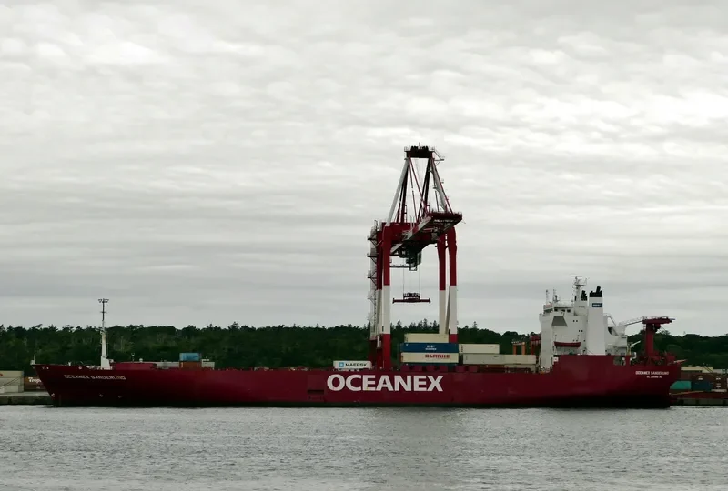 OCEANEX SANDERLING Ro-Ro IMO 7603502 photo 2