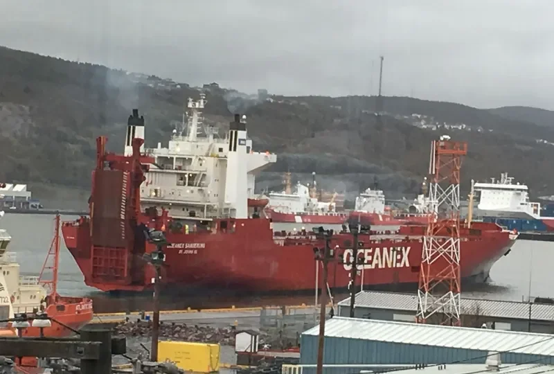 OCEANEX SANDERLING Ro-Ro IMO 7603502 photo 6