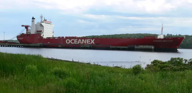 OCEANEX SANDERLING Ro-Ro IMO 7603502 photo 7