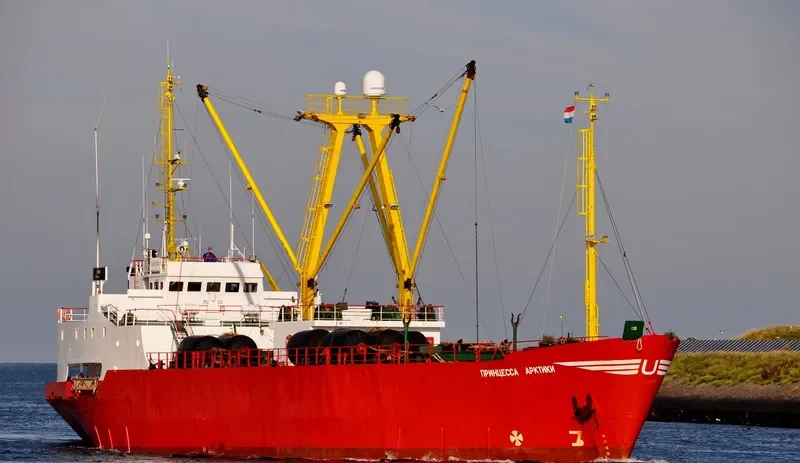 ARCTIC PRINCESS General Cargo IMO 7604403 photo 2