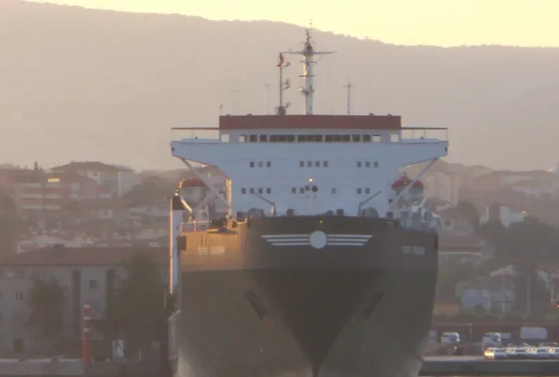 GEROI PLEVNY Ro-Ro IMO 7605782 photo 8