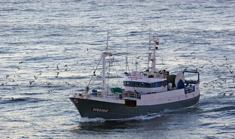 HERMANOS PINO LADRA General Cargo IMO 7605902 photo 3