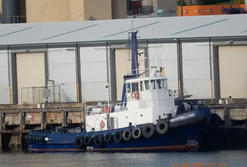 CAMPBELL COVE Tug Boat IMO 7606023 photo 6