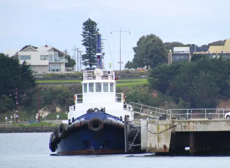 CAMPBELL COVE Tug Boat IMO 7606023 photo 7