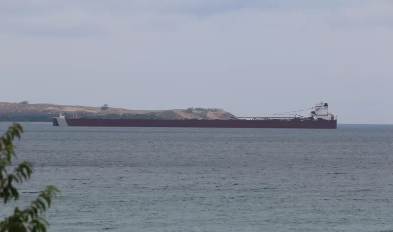 EDWIN H.GOTT Bulk Carrier IMO 7606061 photo 2
