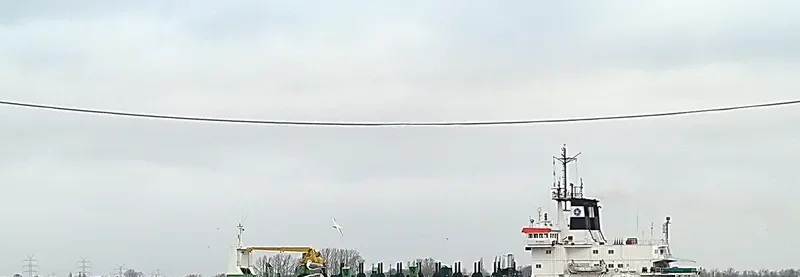 ATLANTICO DUE General Cargo IMO 7606293 photo 7