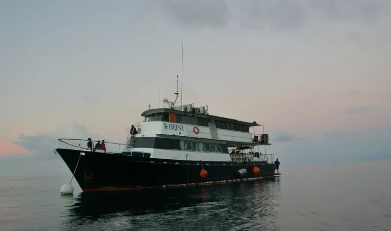 FEBRINA General Cargo IMO 7606463 photo 3