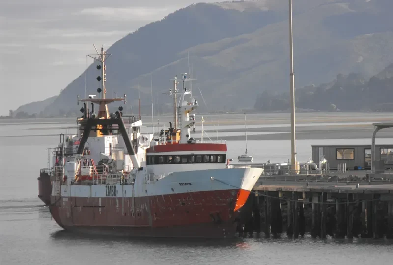 BALDUR General Cargo IMO 7607182 photo 2