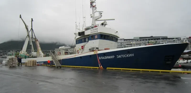 VLADIMIR ZAGOSKIN General Cargo IMO 7607273 photo 6