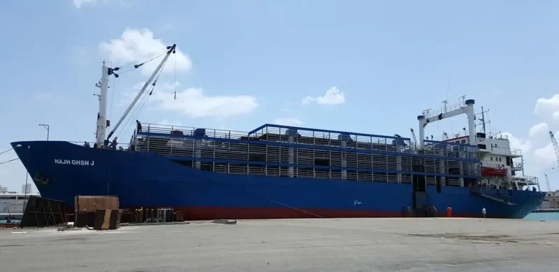 HAJH GHSN J General Cargo IMO 7607417