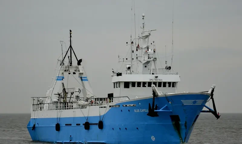 BLUE CAPELLA Offshore Vessel IMO 7607613 photo 7