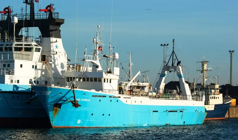 BLUE CAPELLA Offshore Vessel IMO 7607613 photo 8