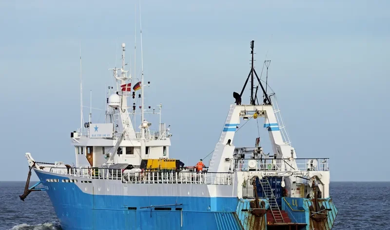BLUE CAPELLA Offshore Vessel IMO 7607613 photo 9