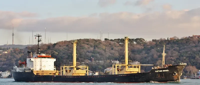 CAPTAIN ISMAEL Bulk Carrier IMO 7607742