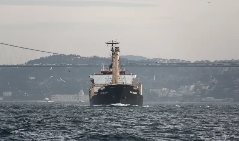 CAPTAIN ISMAEL Bulk Carrier IMO 7607742 photo 6