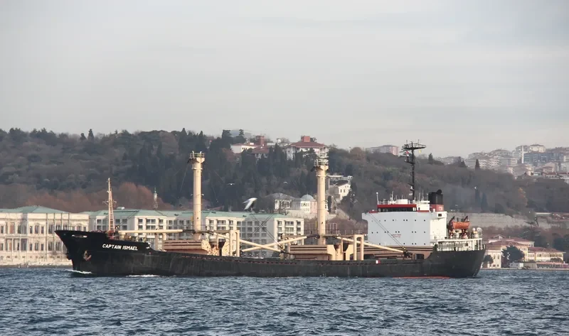CAPTAIN ISMAEL Bulk Carrier IMO 7607742 photo 7