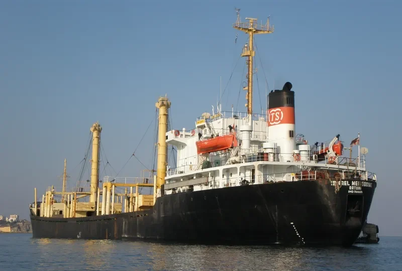 CAPTAIN ISMAEL Bulk Carrier IMO 7607742 photo 8