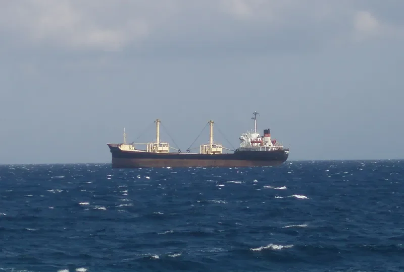 CAPTAIN ISMAEL Bulk Carrier IMO 7607742 photo 10