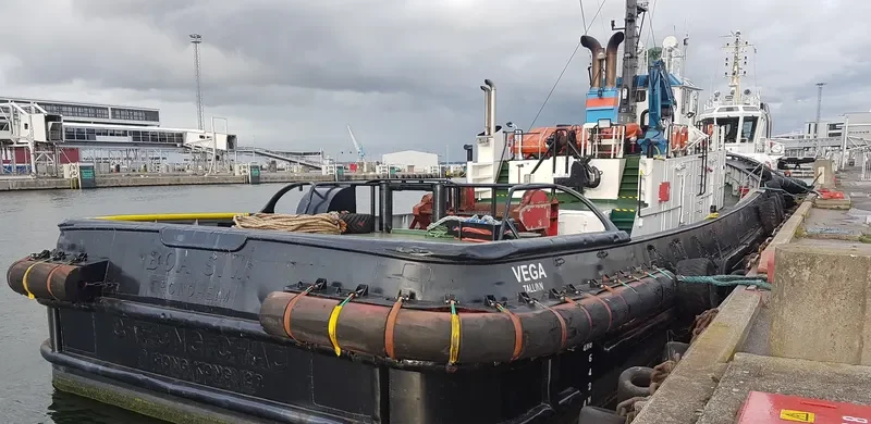 VEGA General Cargo IMO 7607869