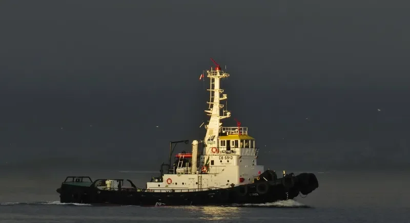 PETREL General Cargo IMO 7608007 photo 3