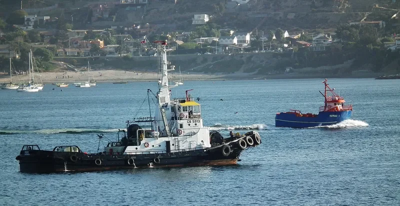 PETREL General Cargo IMO 7608007 photo 4