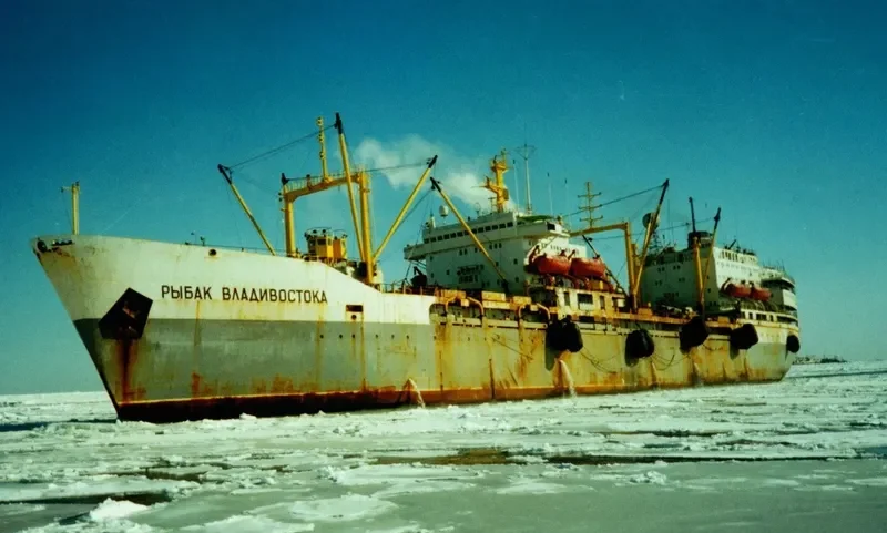RYBAK VLADIVOSTOKA Fishing Vessel IMO 7608825