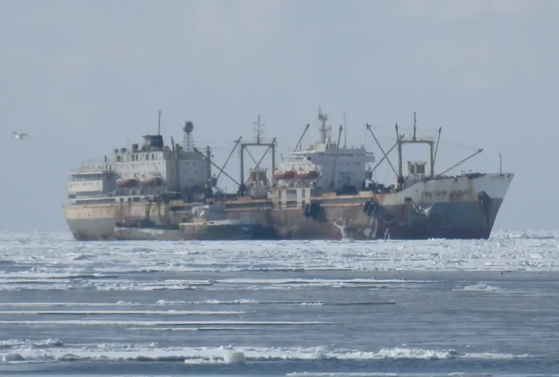 GRIGORIY DIDENKO Fishing Vessel IMO 7608837 photo 4