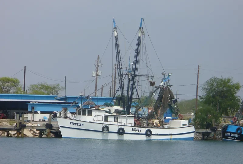 RIO CELLO General Cargo IMO 7609362