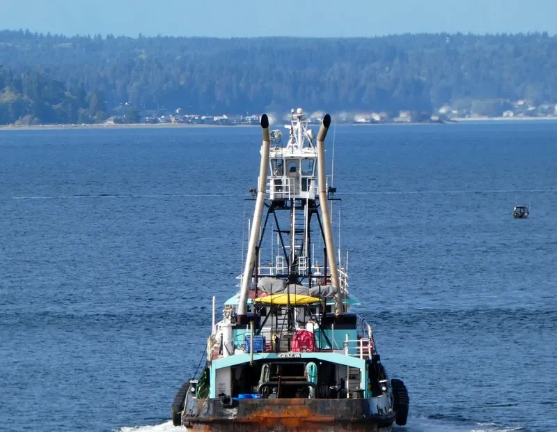 ISLAND VIKING Tug Boat IMO 7609843