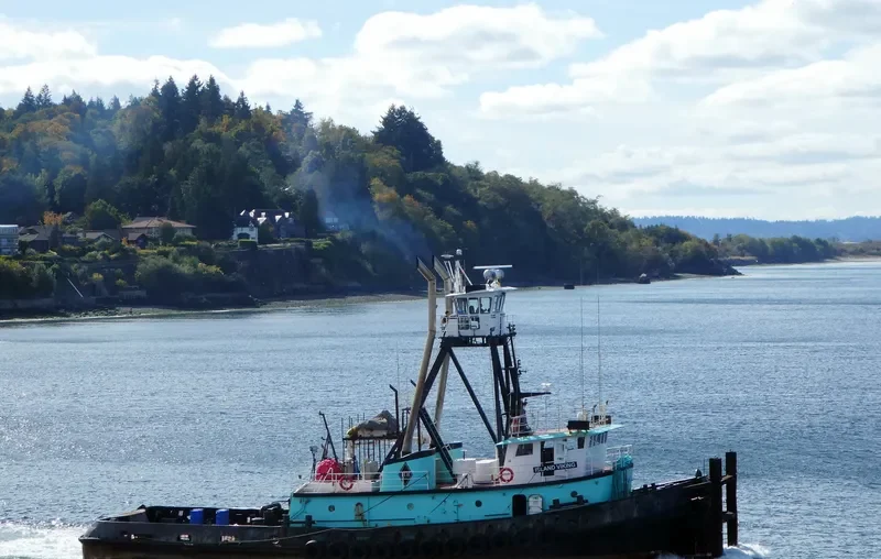 ISLAND VIKING Tug Boat IMO 7609843 photo 3