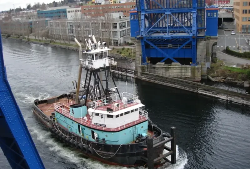 ISLAND VIKING Tug Boat IMO 7609843 photo 8