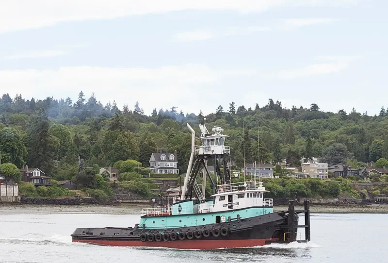 ISLAND VIKING Tug Boat IMO 7609843 photo 9