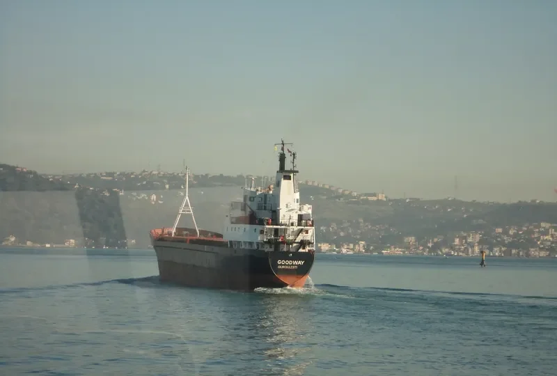 GOODWAY General Cargo IMO 7610036 photo 8