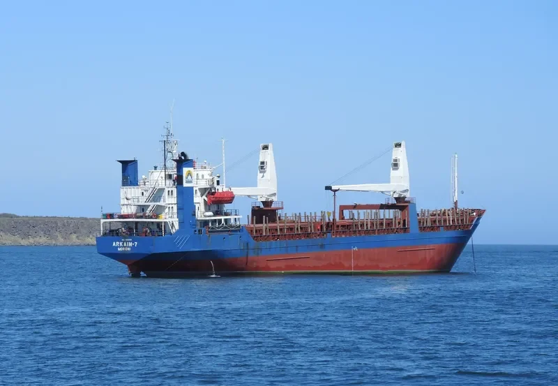 ARKAIM 7 Bulk Carrier IMO 7610098 photo 2