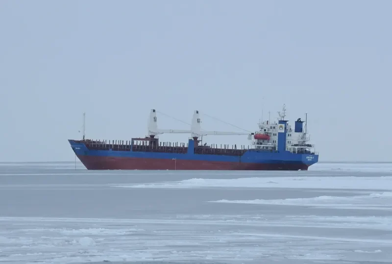 ARKAIM 7 Bulk Carrier IMO 7610098 photo 3