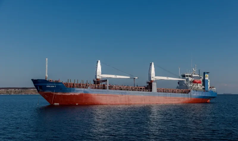 ARKAIM 7 Bulk Carrier IMO 7610098 photo 6