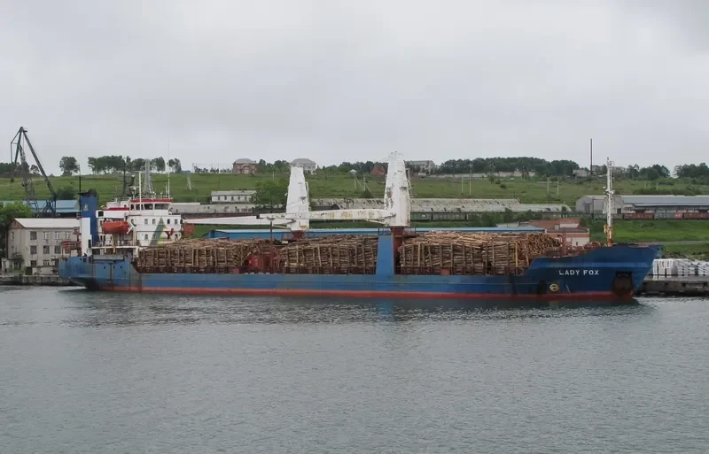 ARKAIM 7 Bulk Carrier IMO 7610098 photo 8