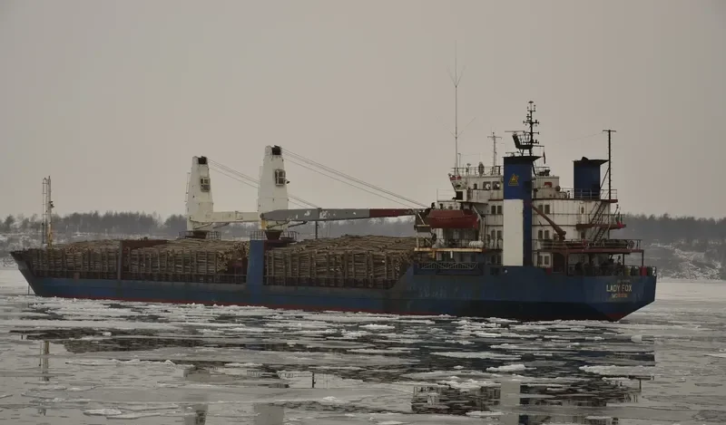 ARKAIM 7 Bulk Carrier IMO 7610098 photo 9