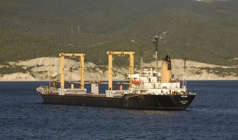MEVLANA Bulk Carrier IMO 7610749