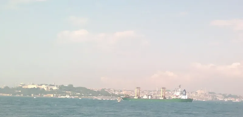 MEVLANA Bulk Carrier IMO 7610749 photo 3