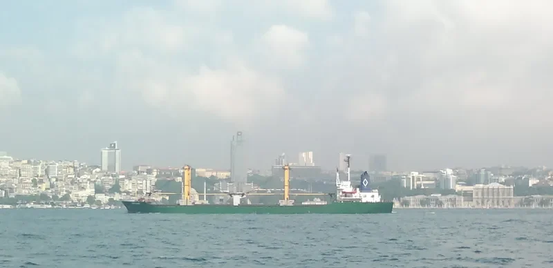 MEVLANA Bulk Carrier IMO 7610749 photo 6